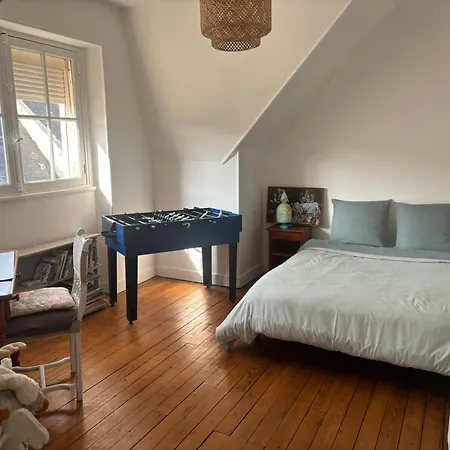 Maison De Caractere 3 Min A Pieds Gare Et Tram, Proche Centre , Garage